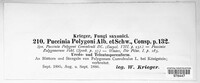 Uromyces polygoni-avicularis image